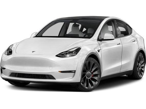 TESLA MODEL Y 2022 7SAYGDEE2NF318904 image